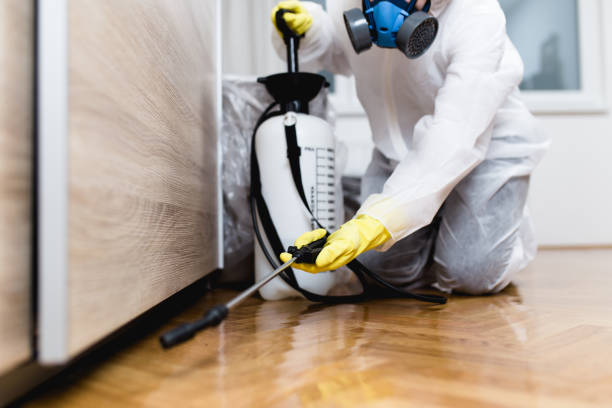 Best Bed Bug Extermination  in Beloit, KS