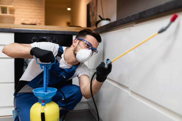 Best Pest Control Near Me  in Beloit, KS