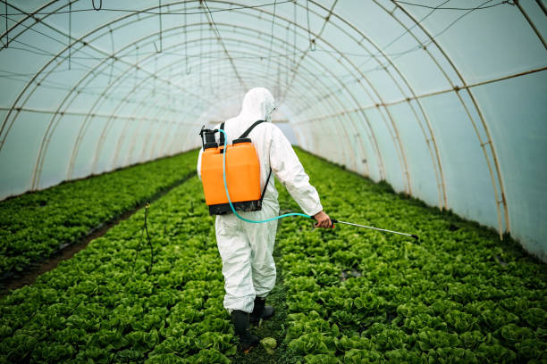 Best Pest Control for Businesses  in Beloit, KS