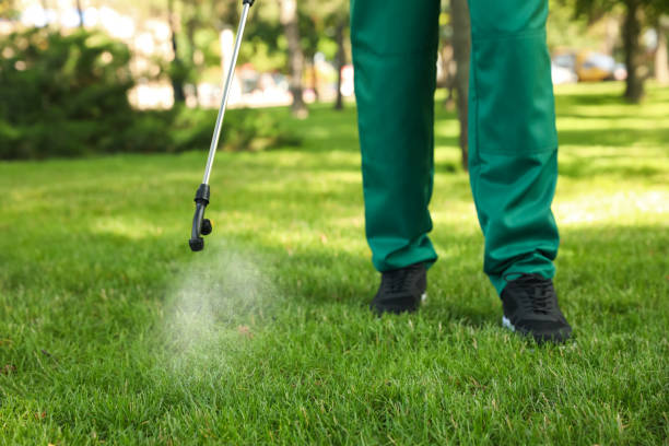 Best Exterminator Services  in Beloit, KS