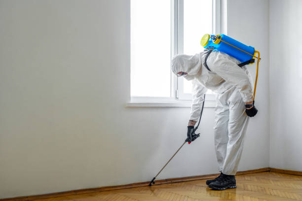 Best Exterminator Services  in Beloit, KS