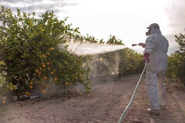  Beloit, KS Pest Control Pros