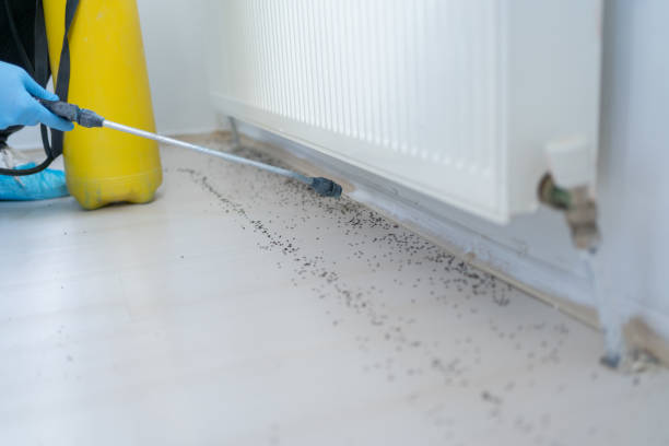 Best Local Pest Control Services  in Beloit, KS