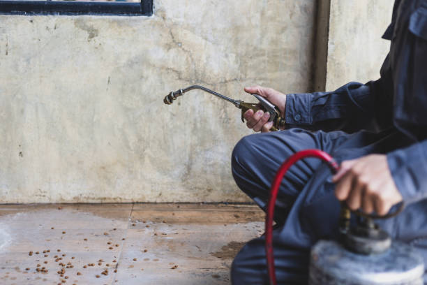 Trusted Beloit, KS Pest Control Experts